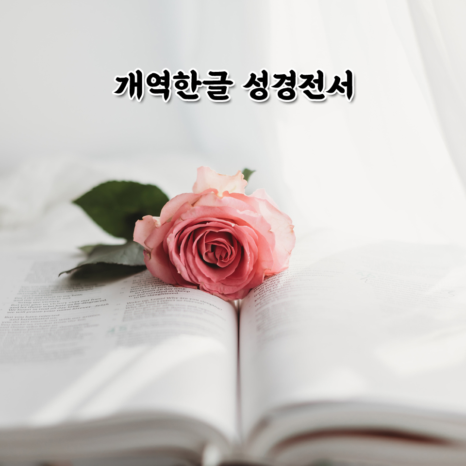 내일일은 난 몰라요